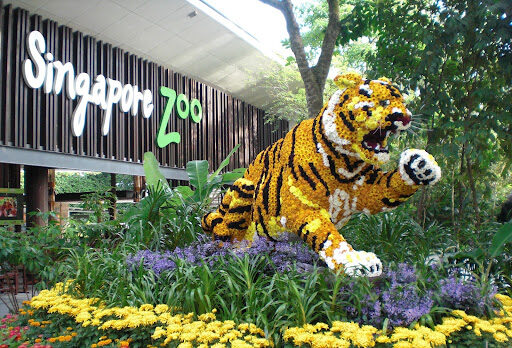 Singapore Zoo