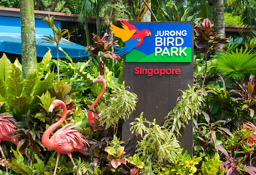 Jurong bird park
